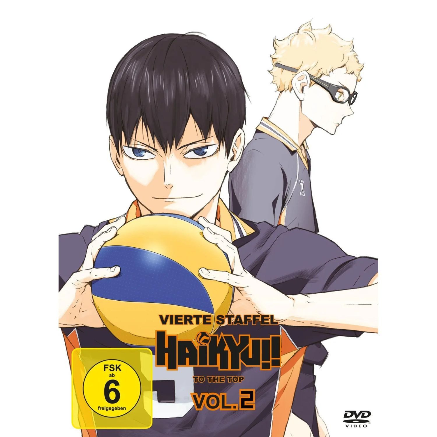 AV Visionen DVD Haikyu!!