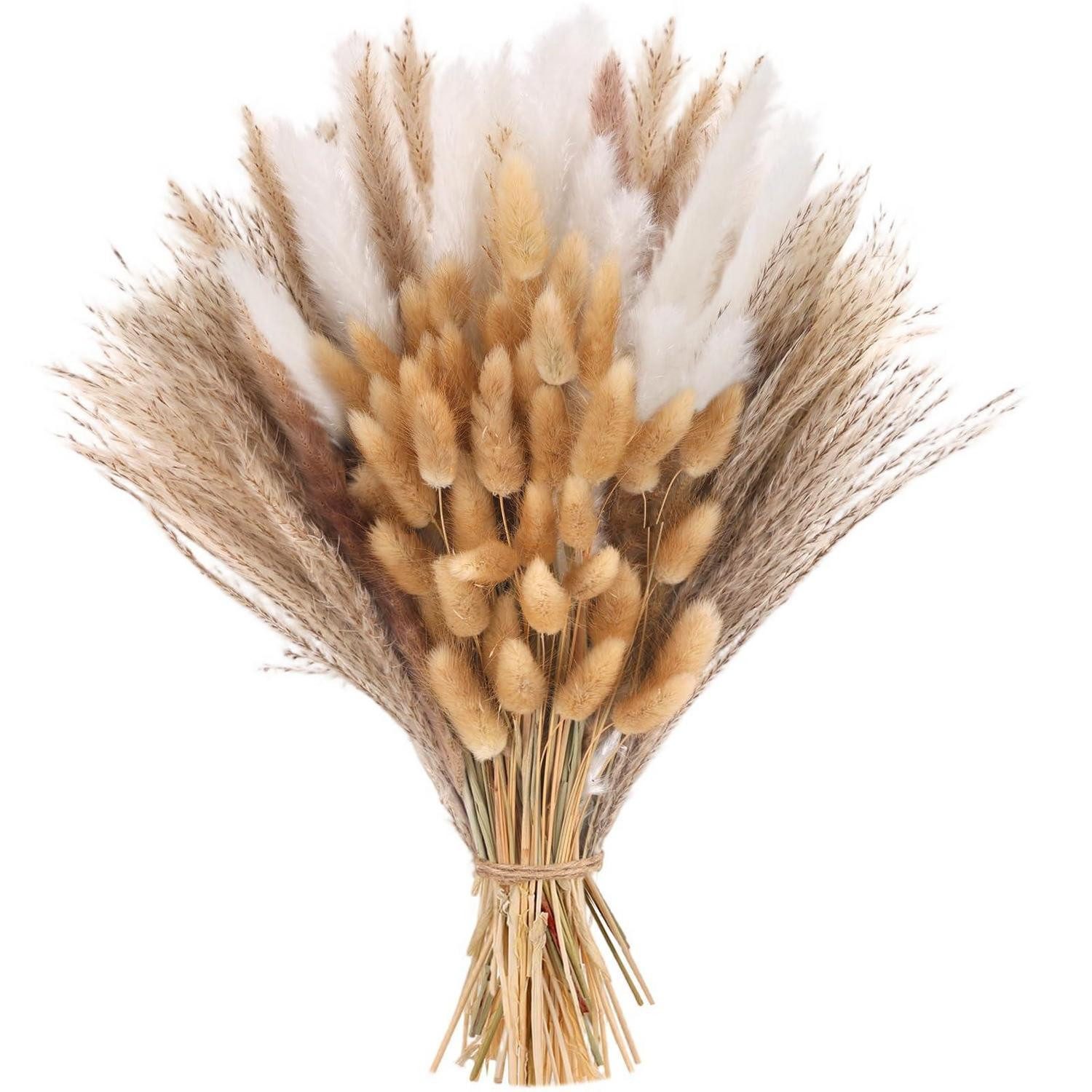 Trockenblume Pampasgras Deko 100er Set klein Boho Style, LuxusKollektion, Höhe 1 cm