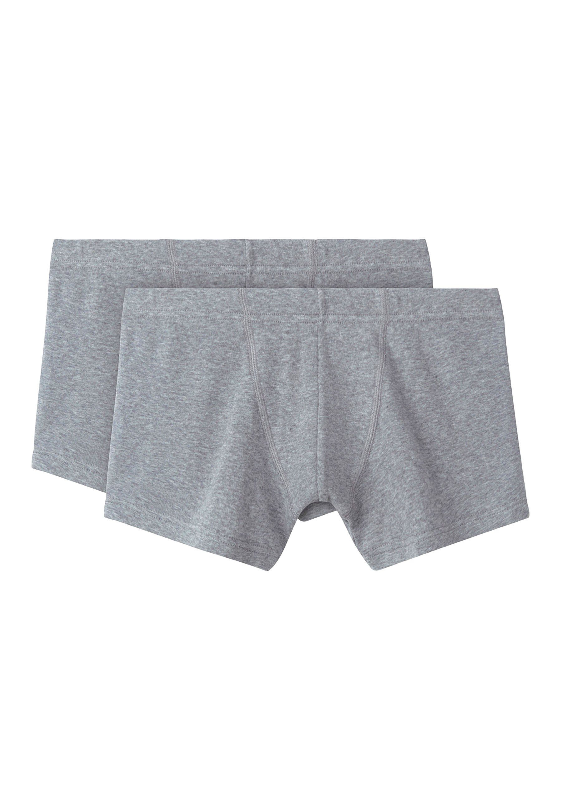 Hessnatur PureDAILY 2er Boxershorts im reiner (2-St) aus Bio-Baumwolle grau Set