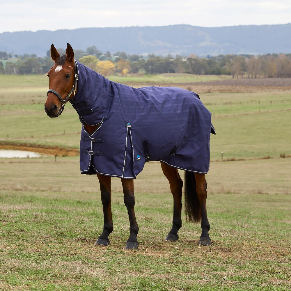 Pferde-Thermodecke Weatherbeeta Comfitec Prelim Turnout Combo 220g