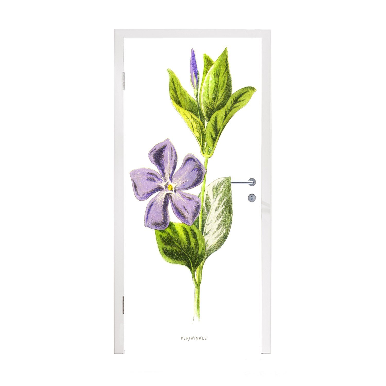 MuchoWow Türtapete Eine Nahaufnahme eines blühenden Lavendels, Matt, bedruckt, (1 St), Fototapete für Tür, Türaufkleber, 75x205 cm