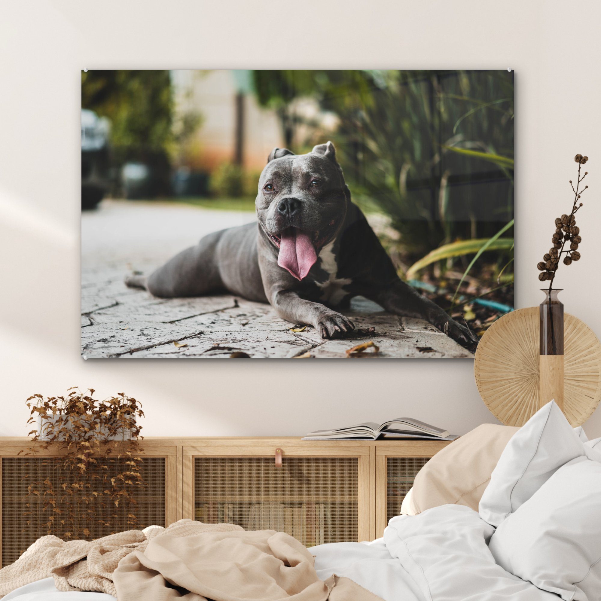 MuchoWow Acrylglasbild Hund - (1 - Zunge Steine, Acrylglasbilder & Schlafzimmer Wohnzimmer St)