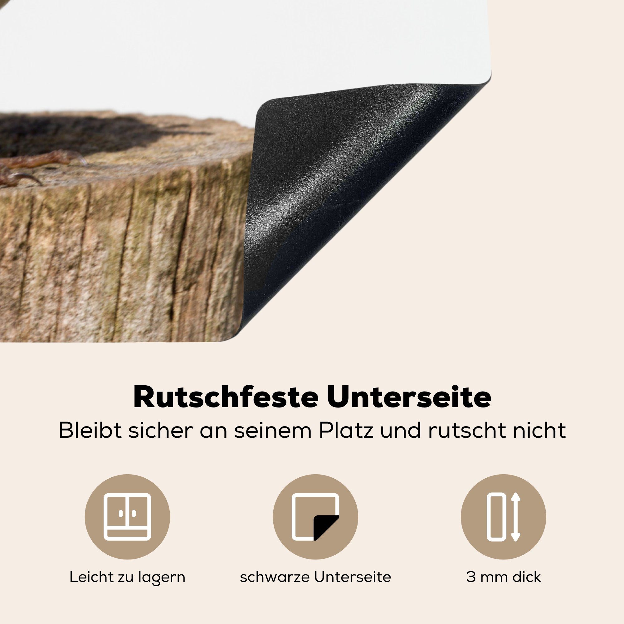 MuchoWow Herdblende-/Abdeckplatte Rotkehlchen - Vogel Induktionskochfeld - küche, (1 für cm, Ceranfeldabdeckung Holz, tlg), 71x52 Vinyl, die Schutz