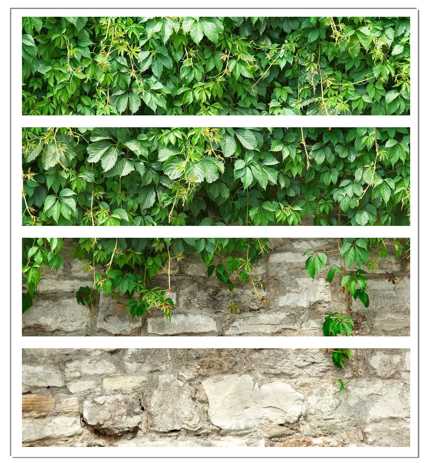 Wallario Möbelfolie Steinmauer und grünen Pflanzen