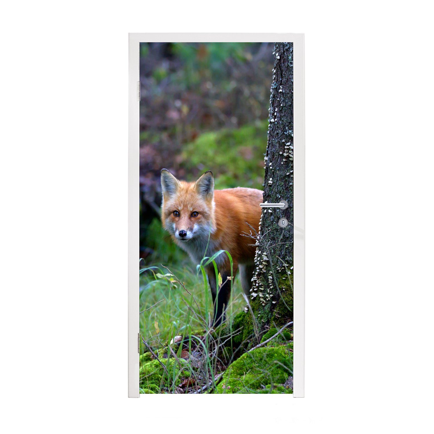 MuchoWow Türtapete Fuchs - Baum - Waldtier - Herbst, Matt, bedruckt, (1 St), Fototapete für Tür, Türaufkleber, 75x205 cm