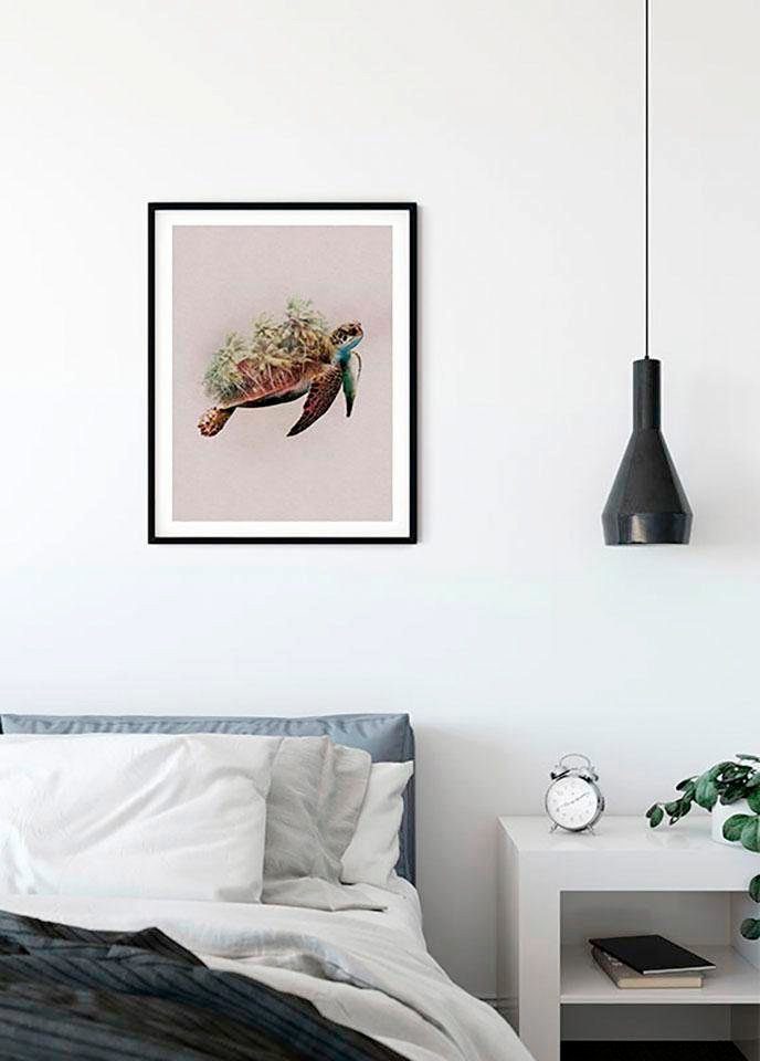 Poster Paradise Schlafzimmer, Komar Animals Turtle, Tiere Wohnzimmer St), Kinderzimmer, (1