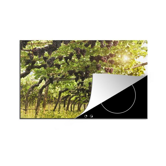 MuchoWow Herdblende-/Abdeckplatte Weintrauben in einem Weinberg Vinyl (1 tlg) induktionskochfeld Schutz für die küche Ceranfeldabdeckung
