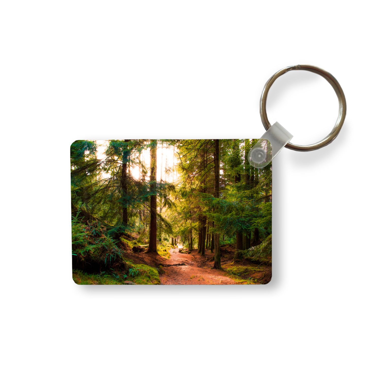 Schlüsselanhänger Wald - Weg - Bäume - Grün - Sonne - Natur