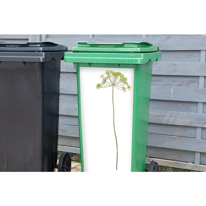 MuchoWow Wandsticker Eine einsame Anispflanze vor weißem Hintergrund (1 St) Mülleimer-aufkleber Mülltonne Sticker Container Abfalbehälter