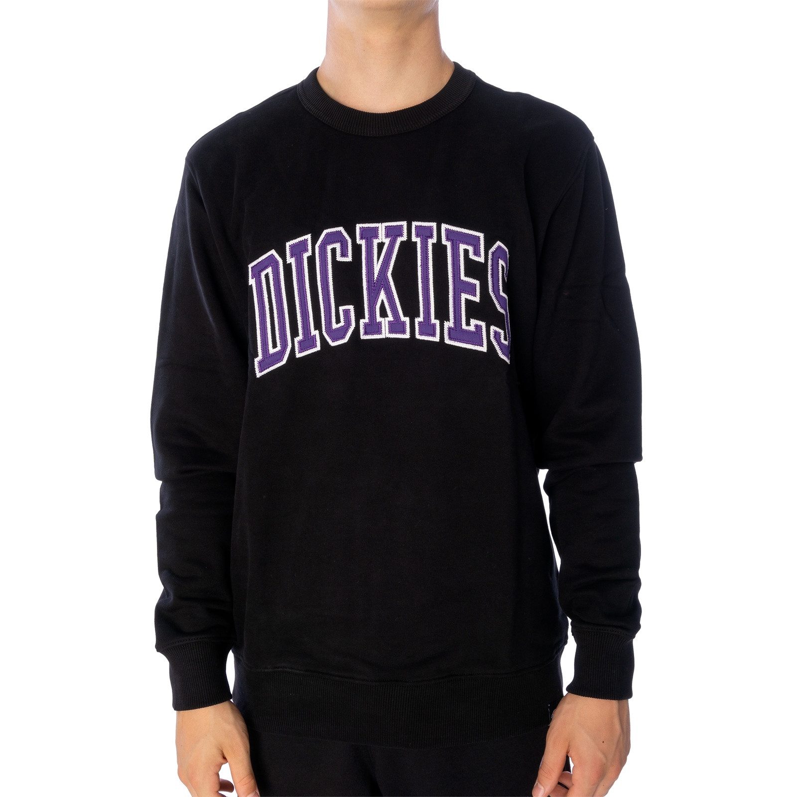 Dickies Sweater Sweatpulli Dickies Aitkin