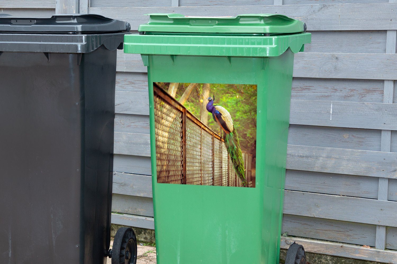Abfalbehälter Federn - (1 Mülleimer-aufkleber, Zaun - Mülltonne, Sticker, Container, Pfau Wandsticker St), MuchoWow