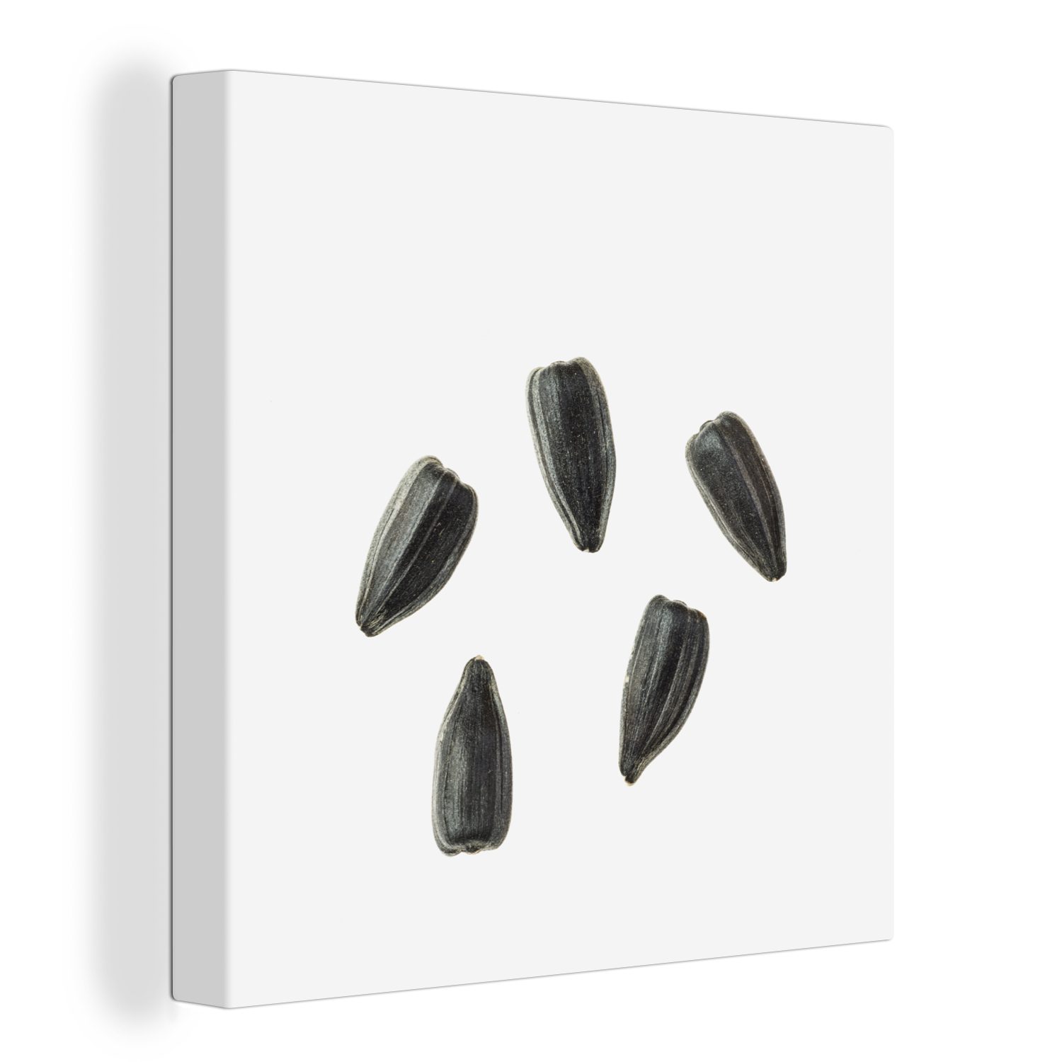 OneMillionCanvasses® Leinwandbild Schwarze Sonnenblumenkerne auf weißem Hintergrund, (1 St), Leinwand Bilder für Wohnzimmer Schlafzimmer