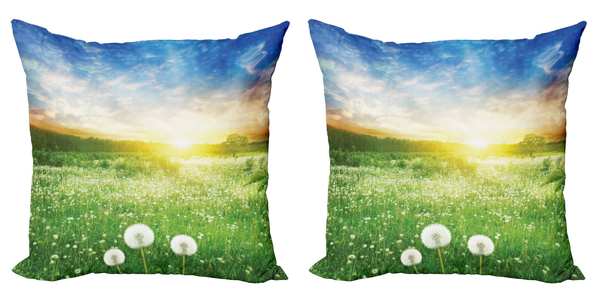 Abakuhaus Kissenbezüge Modern Accent Doppelseitiger Digitaldruck, (2 Stück), Frühling Löwenzahn-Blumen-Feld