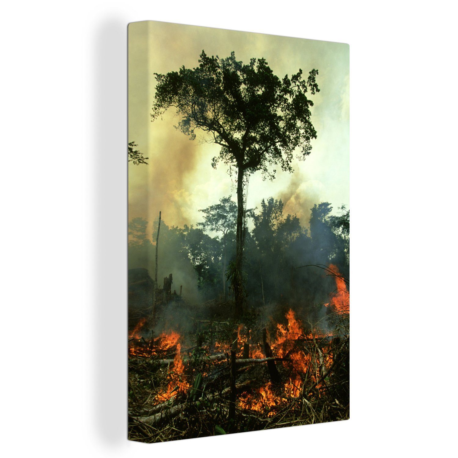 OneMillionCanvasses® Leinwandbild Baum - Feuer, (1 St), Leinwandbild fertig bespannt inkl. Zackenaufhänger, Gemälde, 20x30 cm