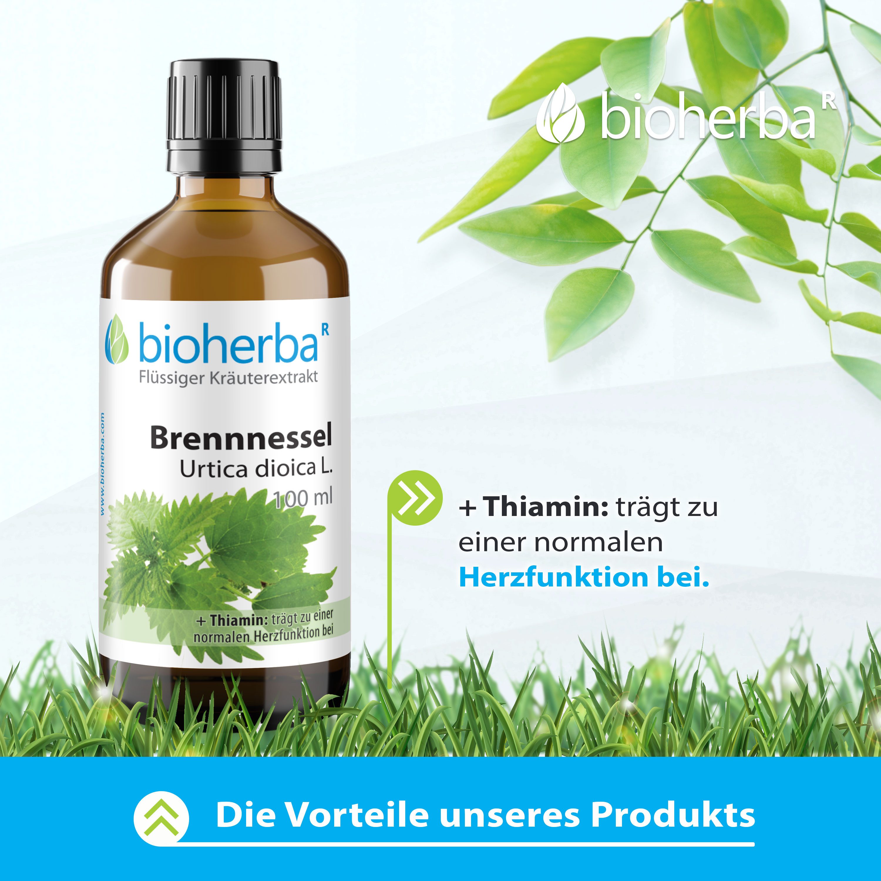 BIOHERBA R Bioherba Brennnessel Urtica dioica L. Tropfen Tinktur 100 ml Tropfen, 1 er