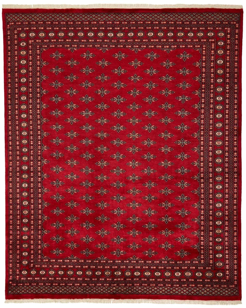 Orientteppich Pakistan Buchara 2ply 244x297 Handgeknüpfter Orientteppich, Nain Trading, rechteckig, Höhe: 8 mm