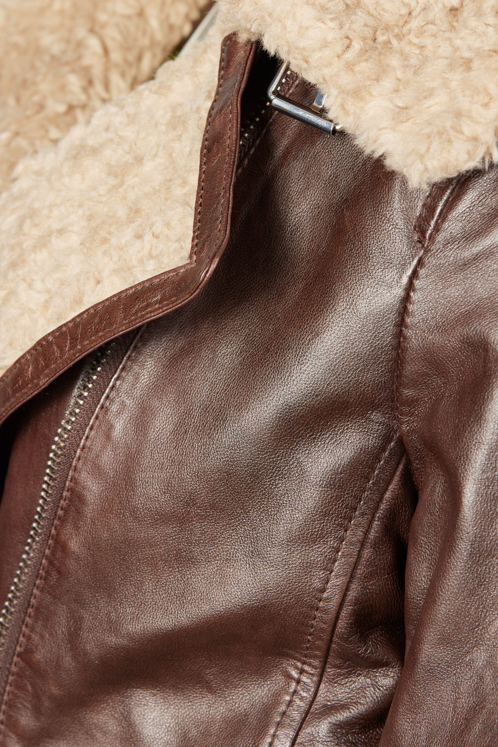 Apple of Eden Lederjacke AOE-144 (1-St) mit verstellbarem Riegel am Kragen
