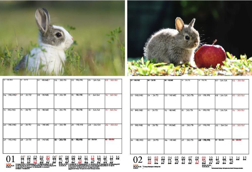 Thumbnail - Seelenzauber Wandkalender Tierkinder Hasen und Kaninchen Wand- Planer Kalender 2025 DIN A4