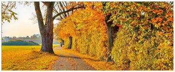 Wallario Acrylglasbild, Herbstlicher Waldweg mit buntem Laub, in verschiedenen Ausführungen