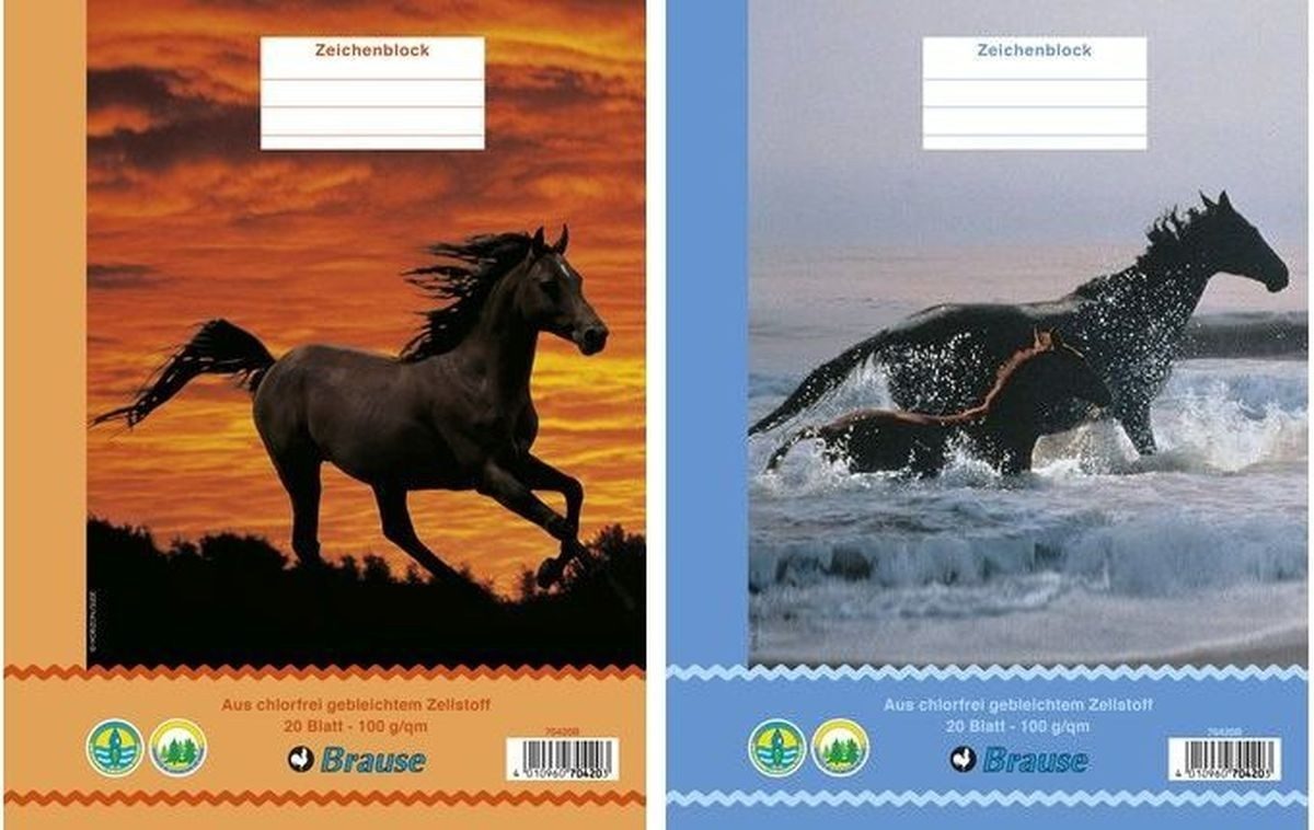 CLAIREFONTAINE Zeichenpapier Zeichenblock A4 100g/qm geheftet 20 Blatt