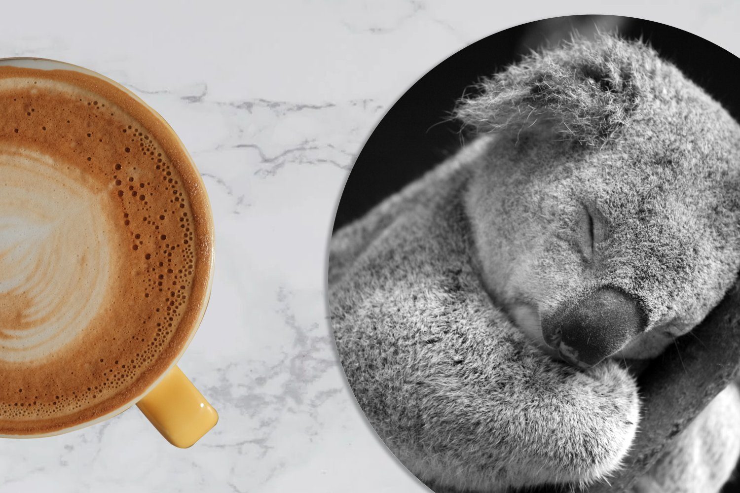 Glasuntersetzer Tassenuntersetzer, MuchoWow auf 6-tlg., Getränkeuntersetzer, schwarzem Gläser, Tasse, Becher Korkuntersetzer, für Schlafender Hintergrund, Koala Zubehör