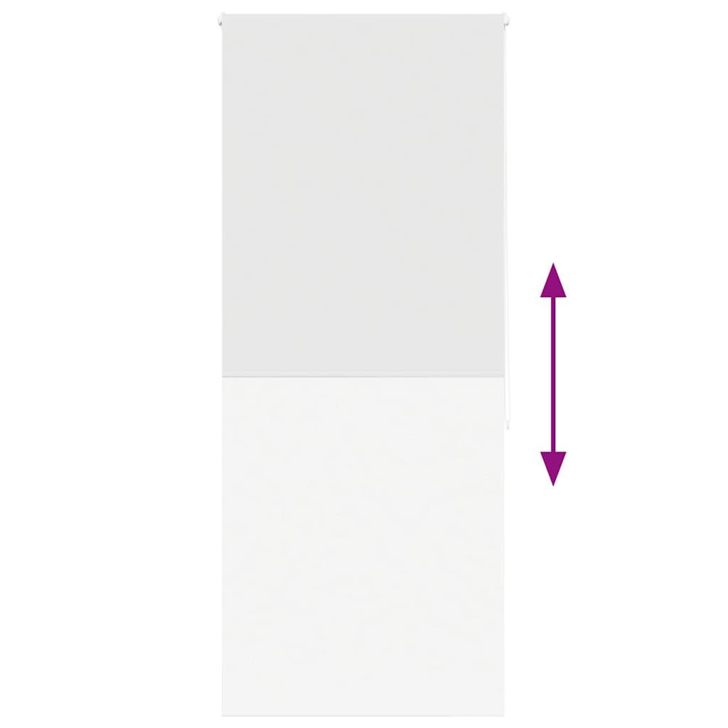 vidaXL Duschrollo, Duschrollo 110x240 cm Stoffbreite 106 cm