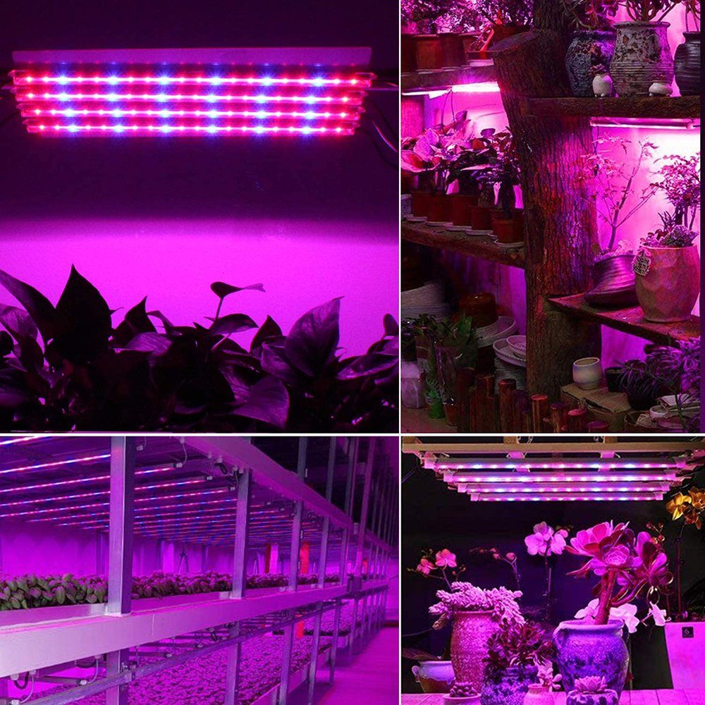 Rot-Blau Fruchtbildung Sämlinge Blüte Lichtleisten Pflanzenlampe Vollspektrum, USB und Indoor-Pflanzen, mit 3 Rosnek Dimmbar, Timer, LED-Wachstumslicht-Streifen, EU-Stecker, Rot&Blau, für