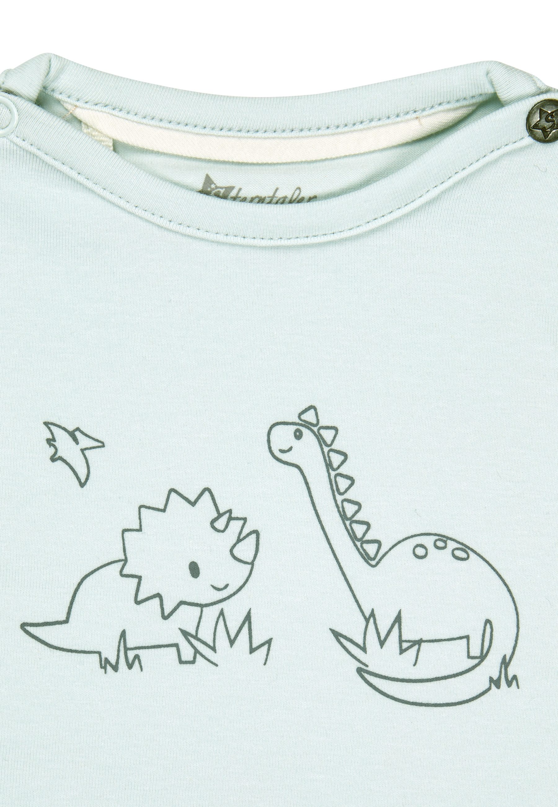 Sterntaler® Langarmshirt Sterntaler® Langarmshirt Rexi (1-tlg)