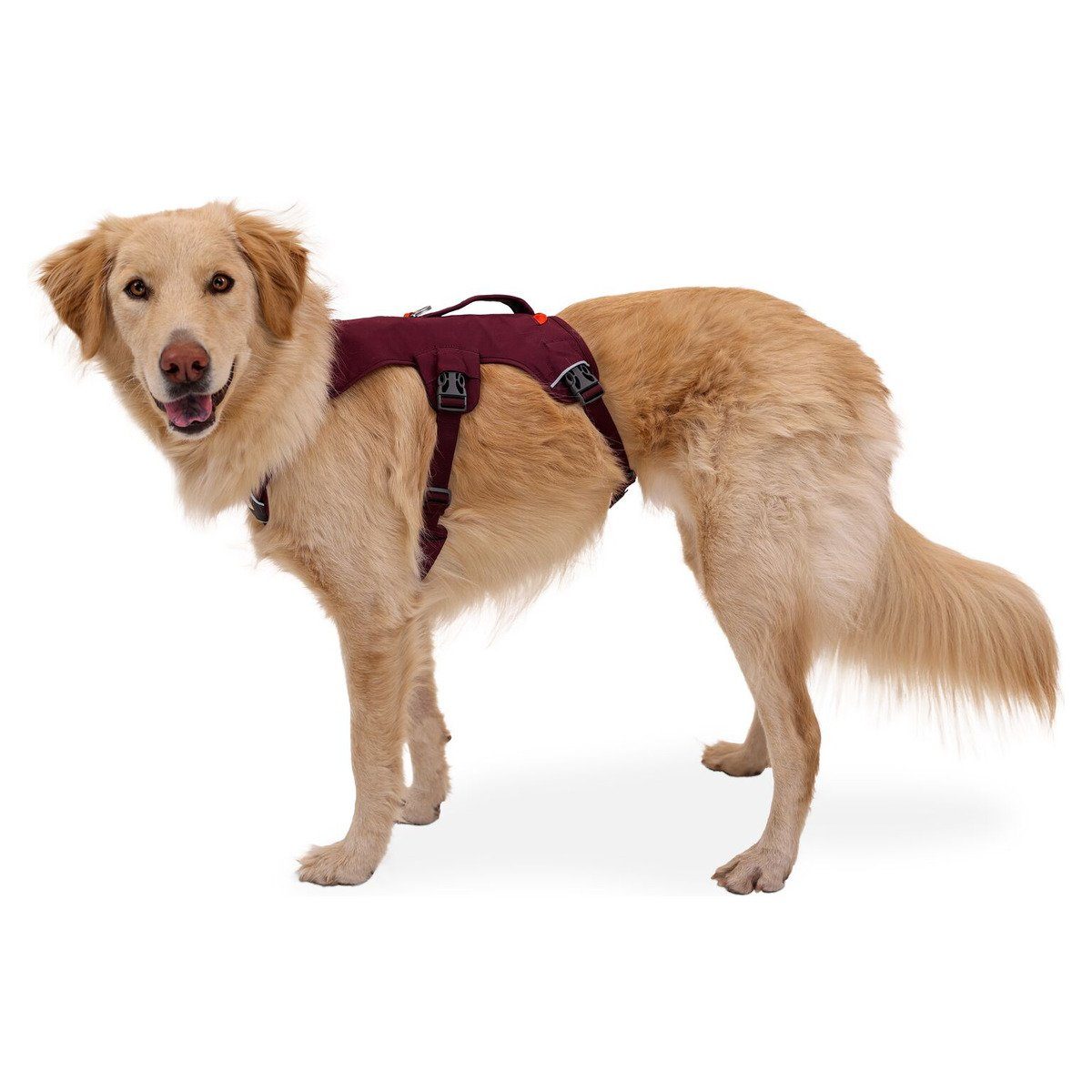 Ruffwear Hunde-Sicherheitsgeschirr Hundegeschirr Web Master Harness Purple Rain