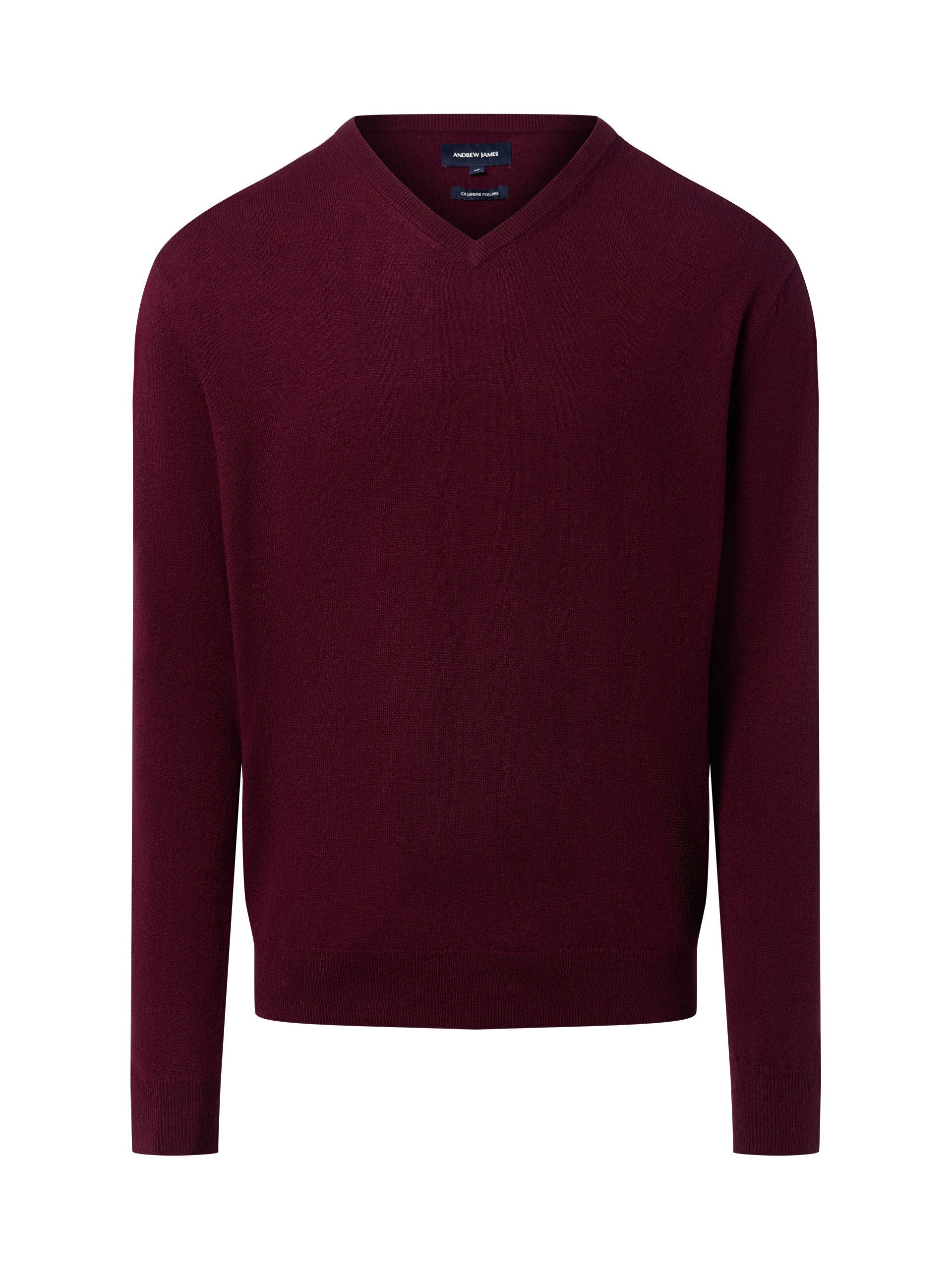 Andrew James Strickpullover