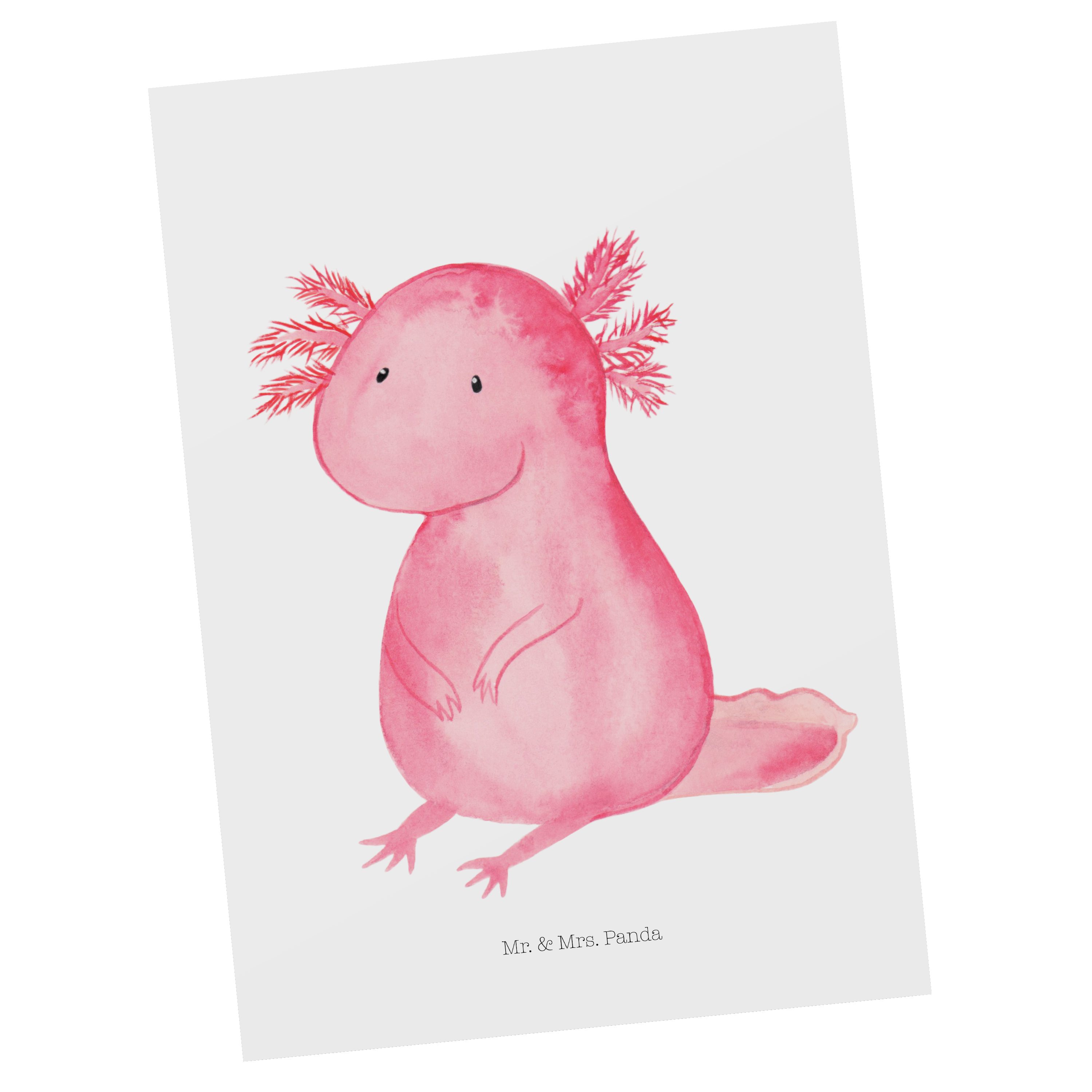 Mr. & Mrs. Panda Postkarte Axolotl - Weiß - Geschenk, Freundin, Ansichtskarte, Geburtstagskarte