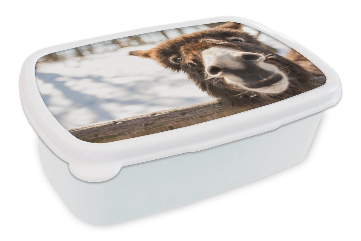 MuchoWow Lunchbox Neugieriger Esel, Kunststoff, (2-tlg), Brotbox für Kinder und Erwachsene, Brotdose, für Jungs und Mädchen weiß