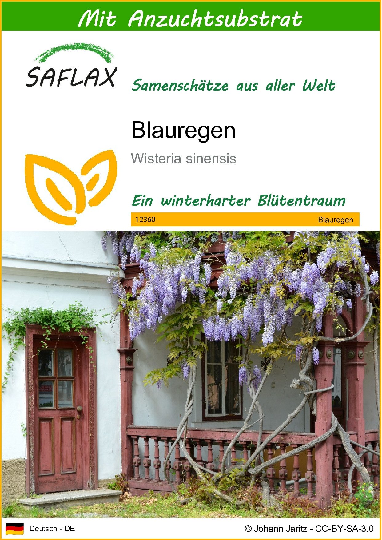 Blumensamen SAFLAX - Samen und Substrat - Blauregen