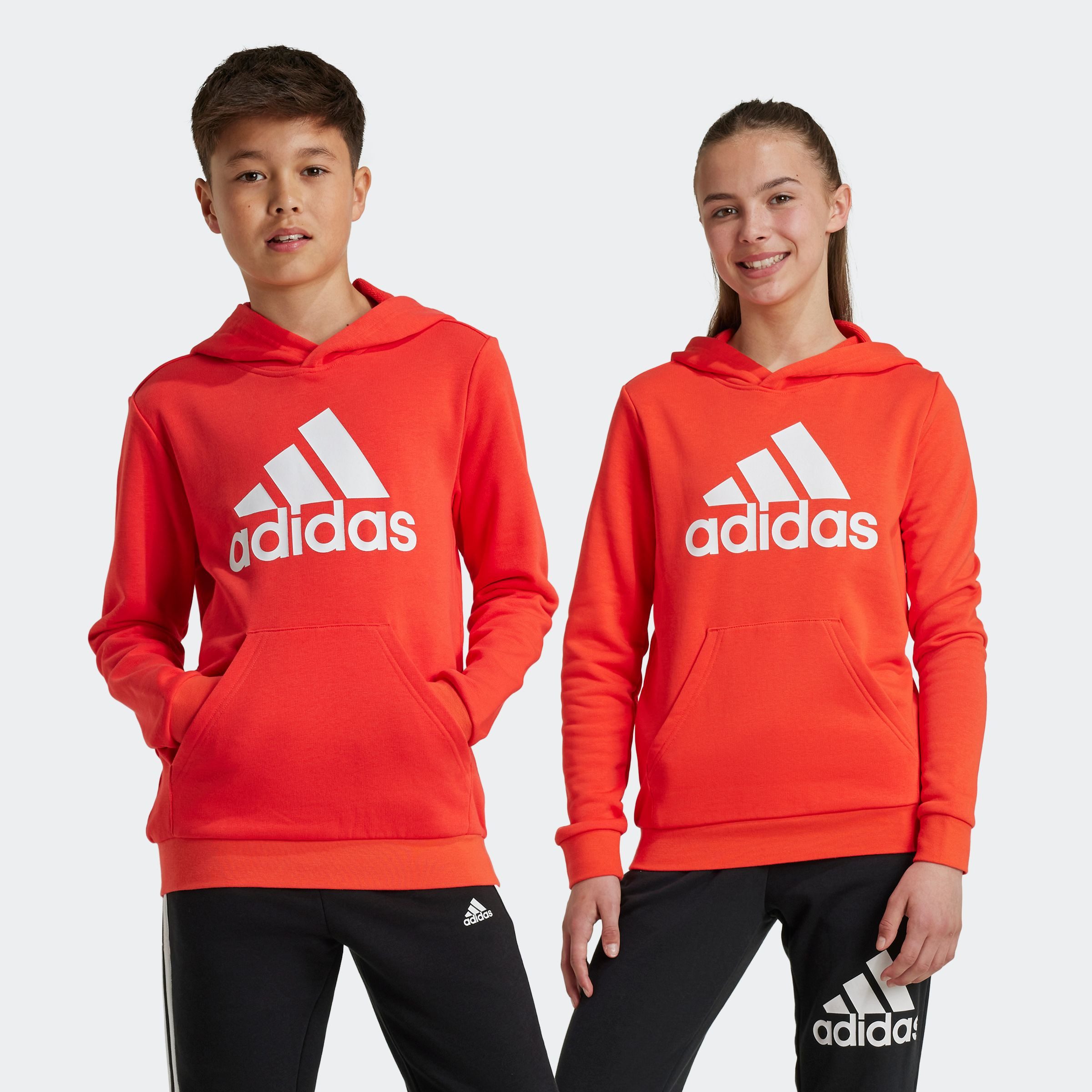adidas Sportswear Kapuzensweatshirt BIG LOGO ESSENTIALS günstig online kaufen