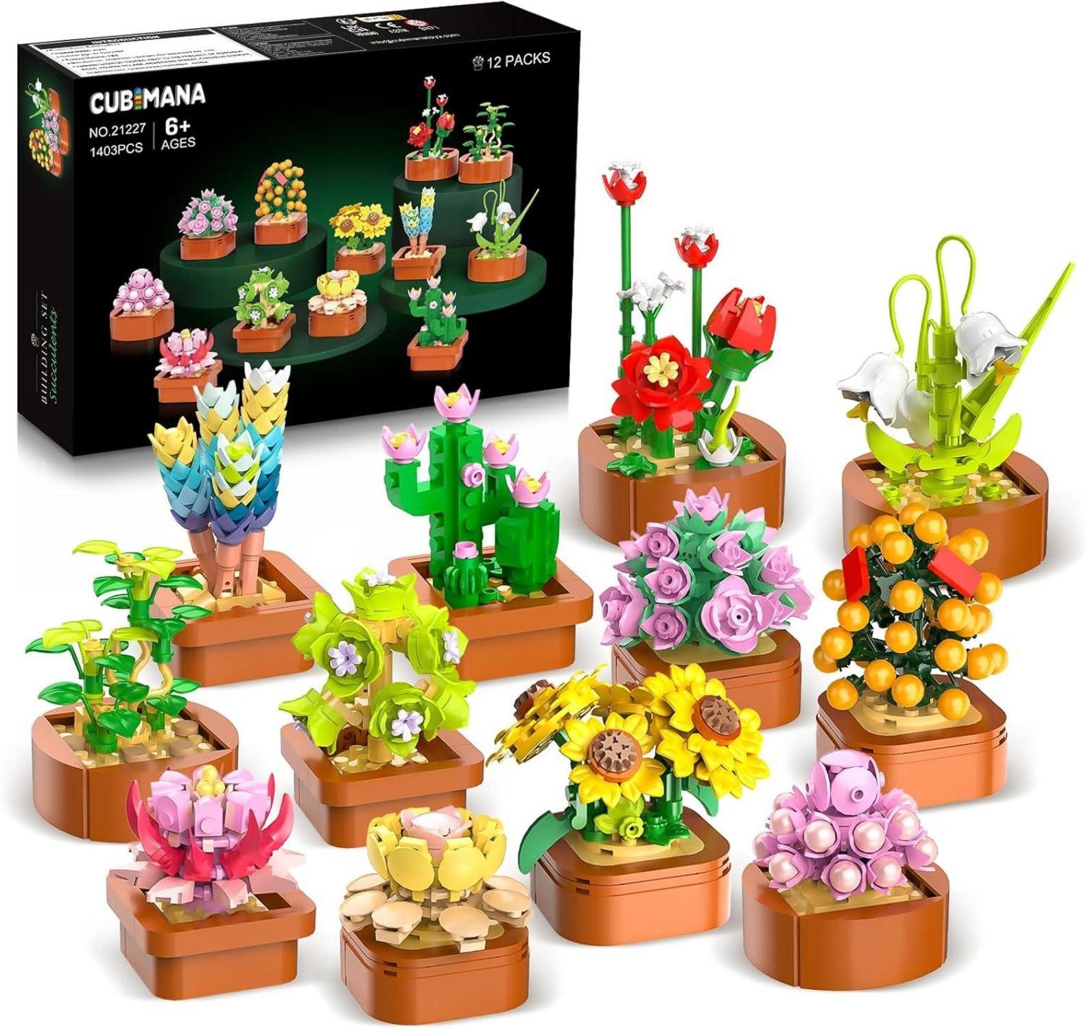 LuxusKollektion Spielzeug-Adventskalender Sukkulenten Mini Bausatz 3.6MM günstig online kaufen
