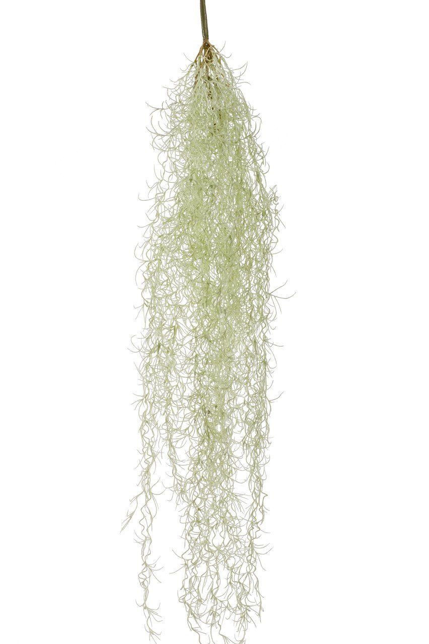 Grün Kunstpflanze, Eternal B:22cm Kunststoff L:95cm Emerald Green,