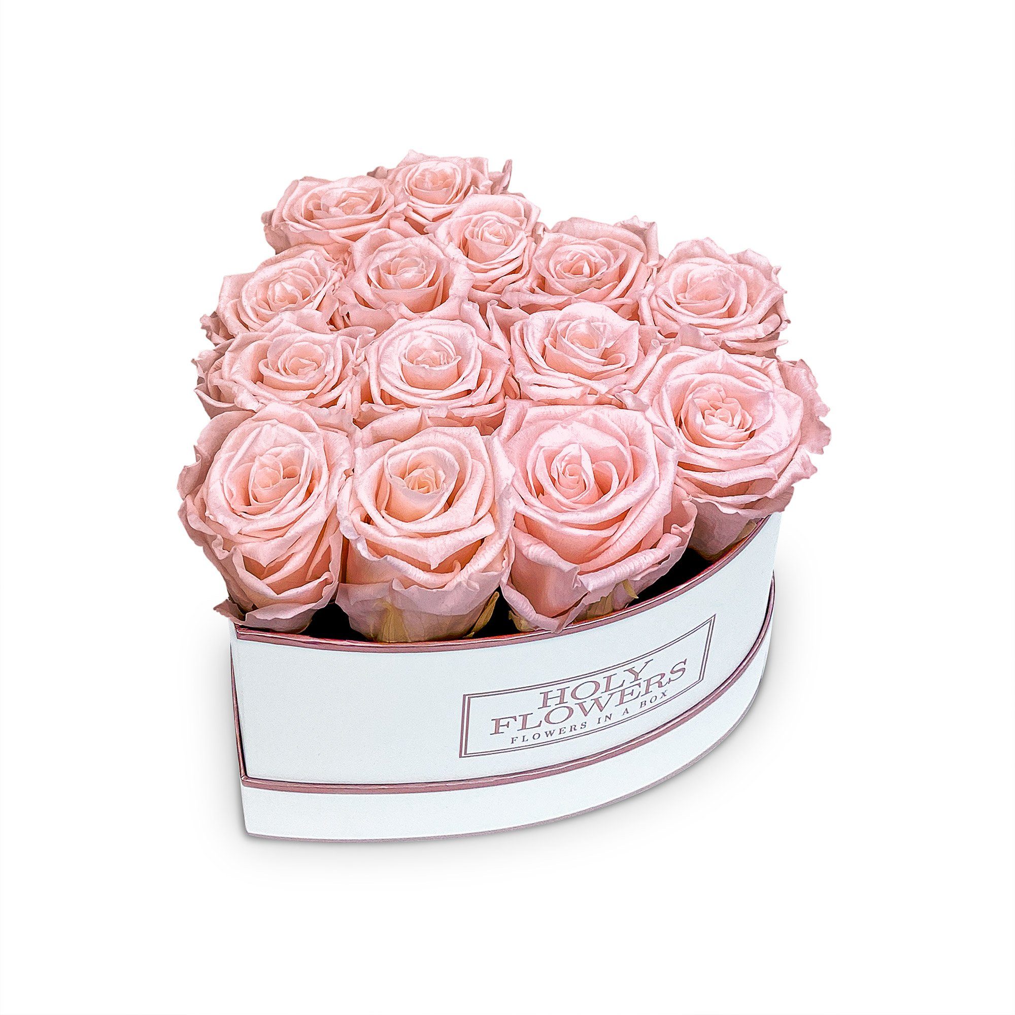 Kunstblume Herzbox Rosé mit 14 Infinity Rosen, 3 Jahre haltbar, Echte Rosen Infinity Rosen, Holy Flowers, Höhe 14 cm