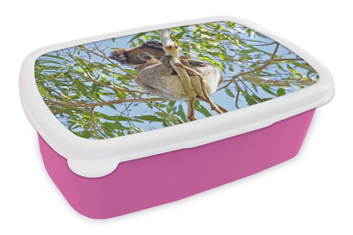 MuchoWow Lunchbox Koala - Luft - Zweige - Kinder - Jungen - Mädchen, Kunststoff, (2-tlg), Brotbox für Erwachsene, Brotdose Kinder, Snackbox, Mädchen, Kunststoff rosa