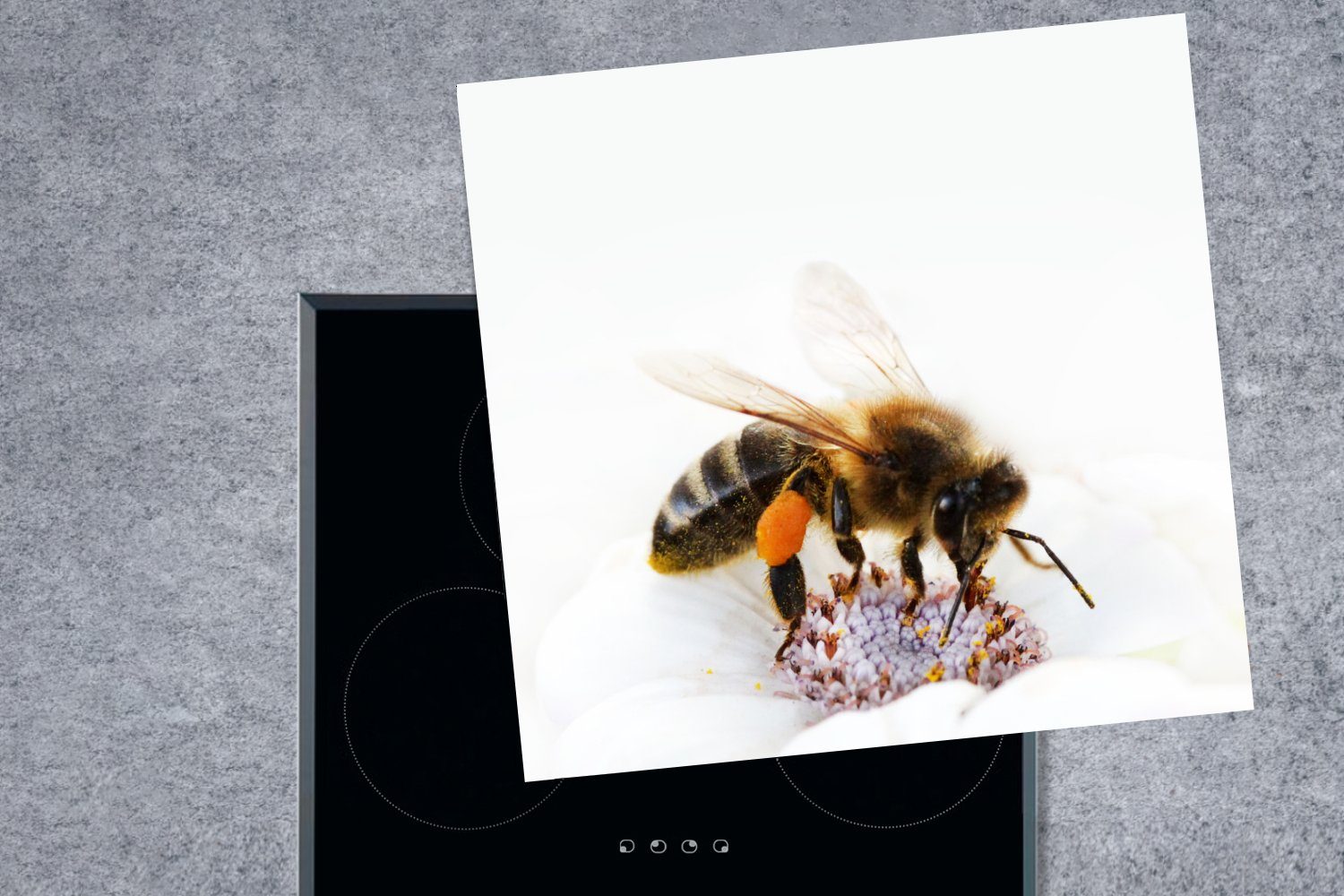 MuchoWow Herdblende-/Abdeckplatte Honigbiene 78x78 Arbeitsplatte Blüte, einer Vinyl, Ceranfeldabdeckung, cm, (1 für tlg), küche weißen Nahaufnahme auf einer