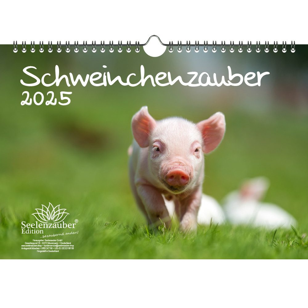 Seelenzauber Wandkalender Schweinchenzauber DIN A4 Kalender für 2025 Schweine Schweinchen
