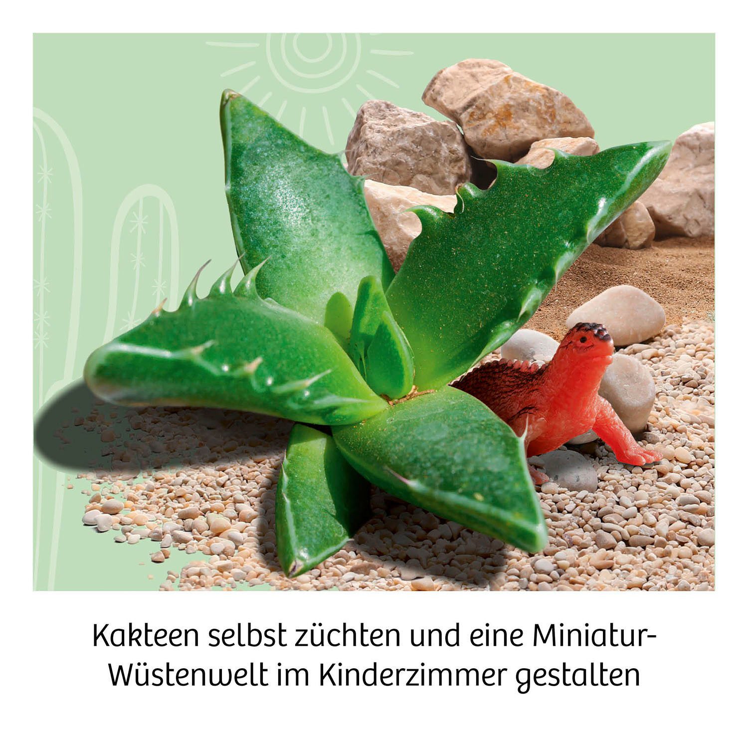Kosmos Experimentierkasten Kakteen-Wüste, Made in Germany