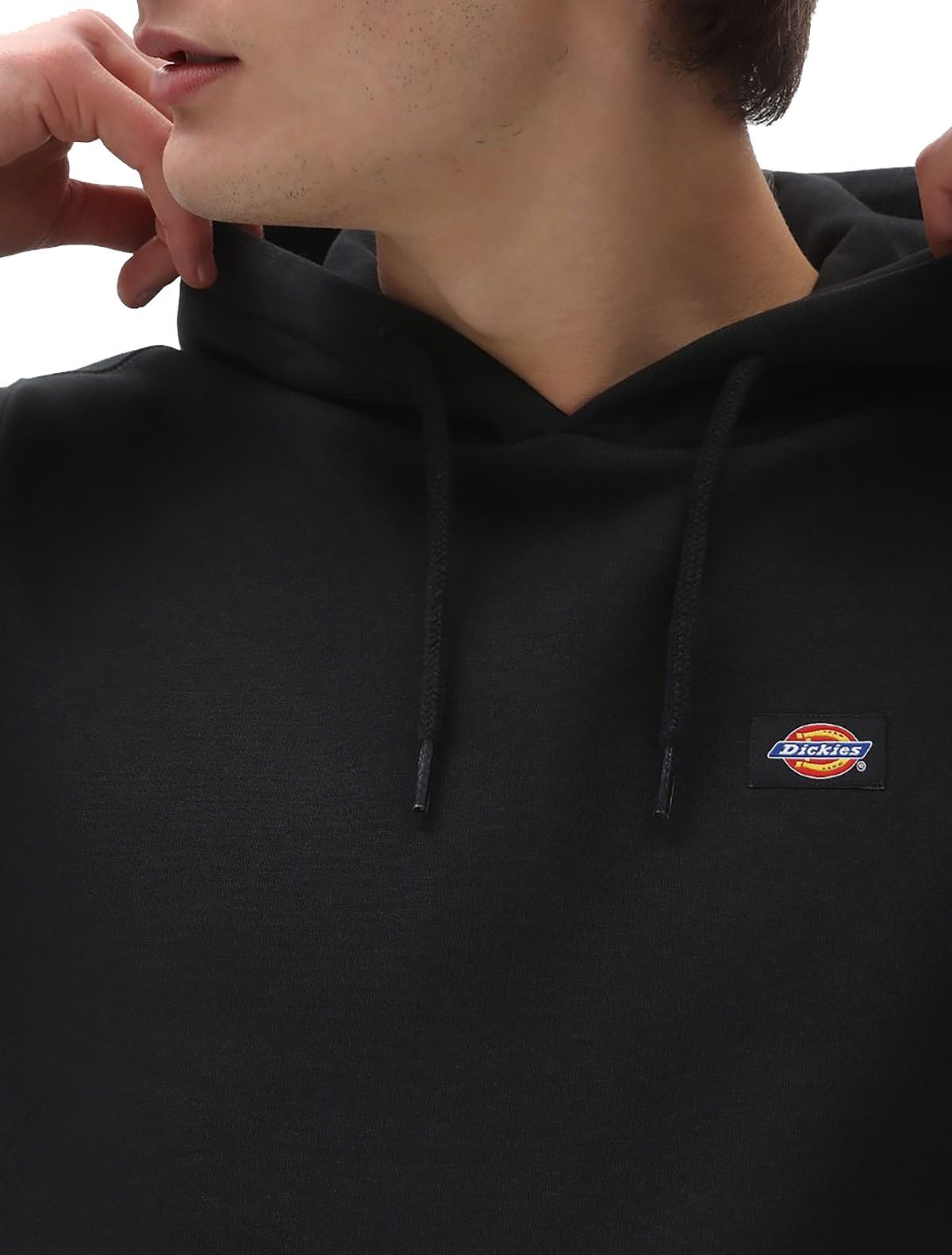 Dickies Hoodie Oakport Gewebtes Dickies-Logo auf der Brust