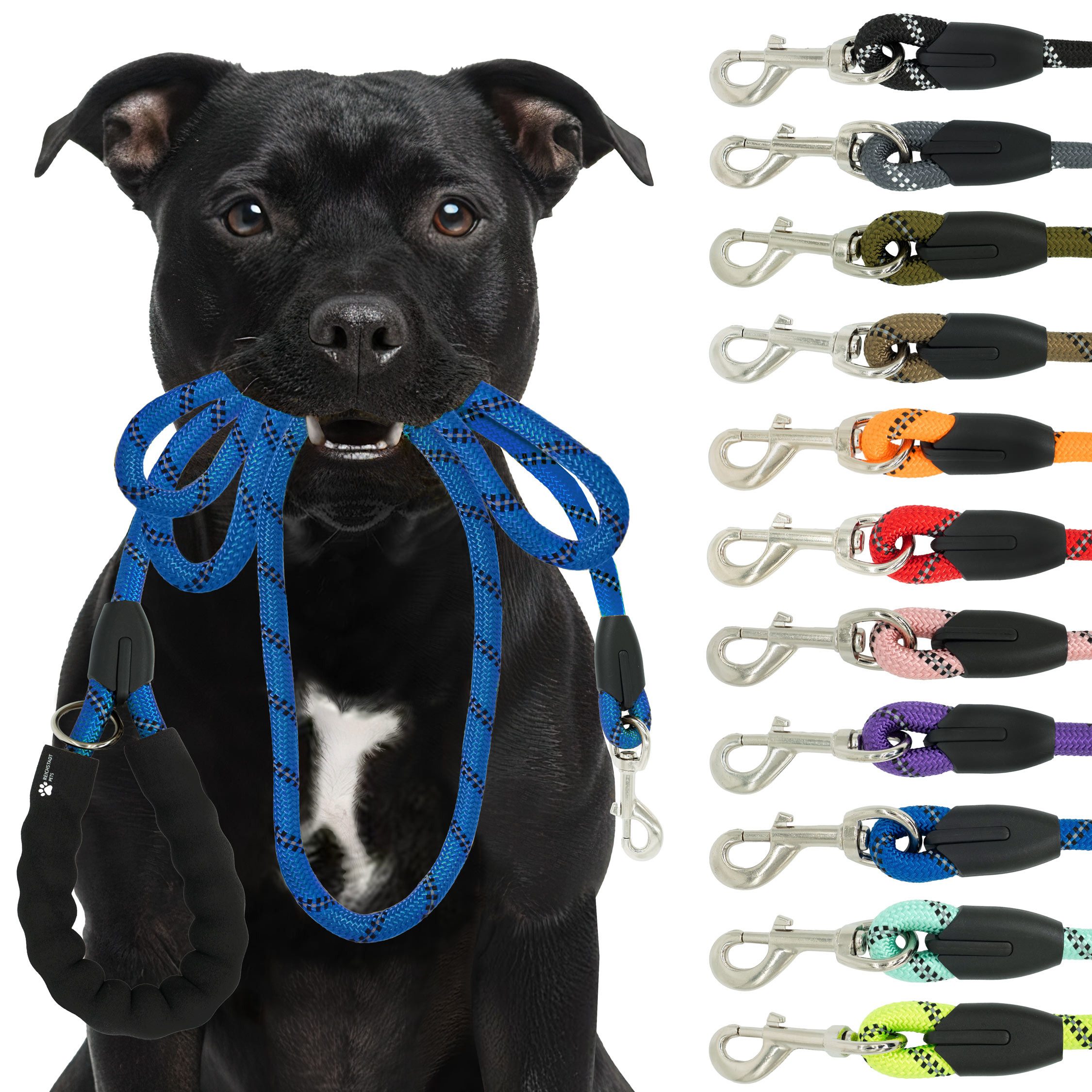 Reichstadt Hundeleine RS Pets Führleine Nylon 25RSP084, Nylon, Ergonomischer EVA-gepolsterter Griff für Blasenschutz von Reichstadt