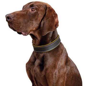 Schecker Hunde-Halsband Hundehalsband Moorfeuer, Echtleder, wir halten bei diesem hochwertigen Artikel allerhöchste Qualitäts- und Sicherheitsnormen für erforderlich.