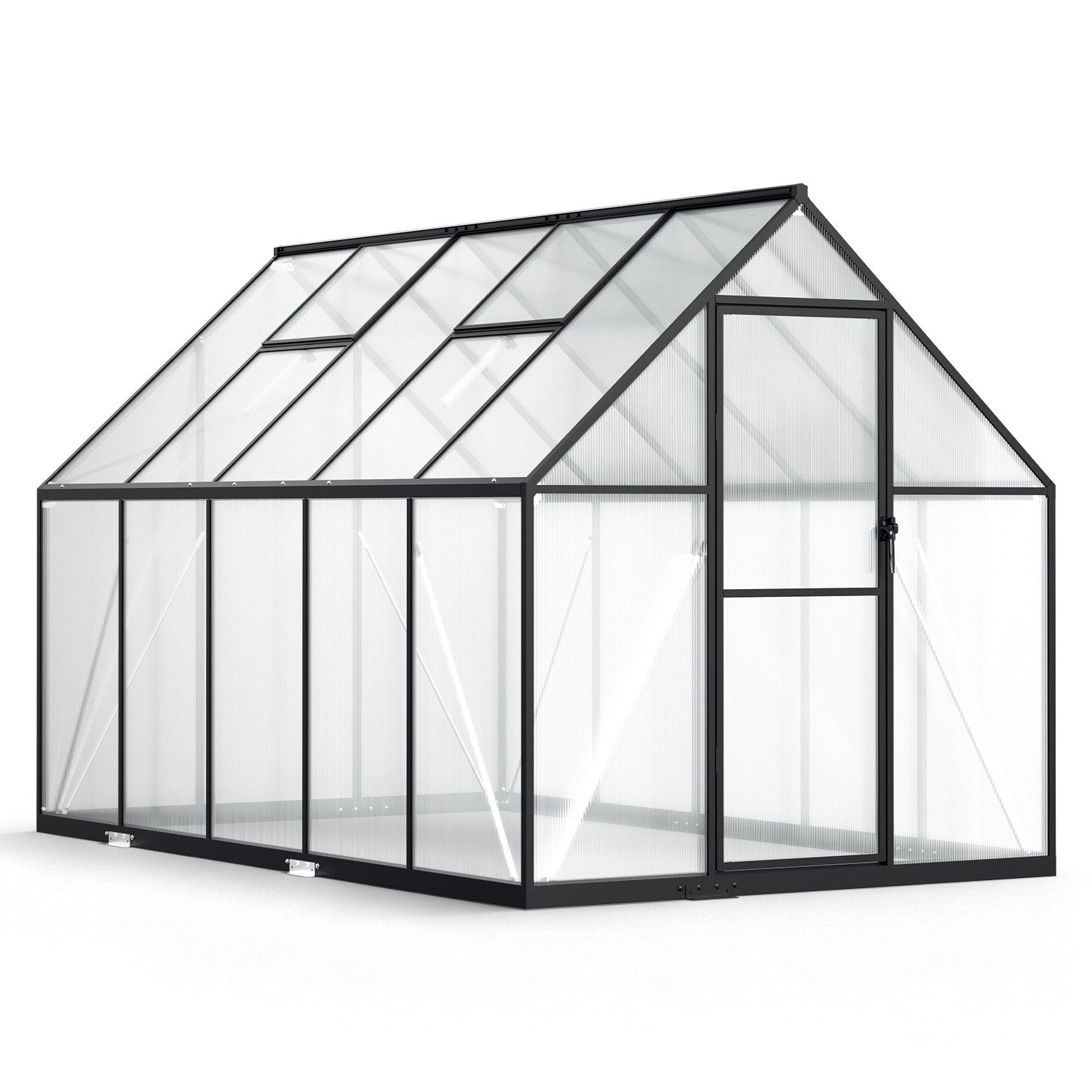 Clanmacy Gewächshaus Aluminium-Gewächshaus 280 × 170 × 195 cm, Schwarz – Bild 3 von 5