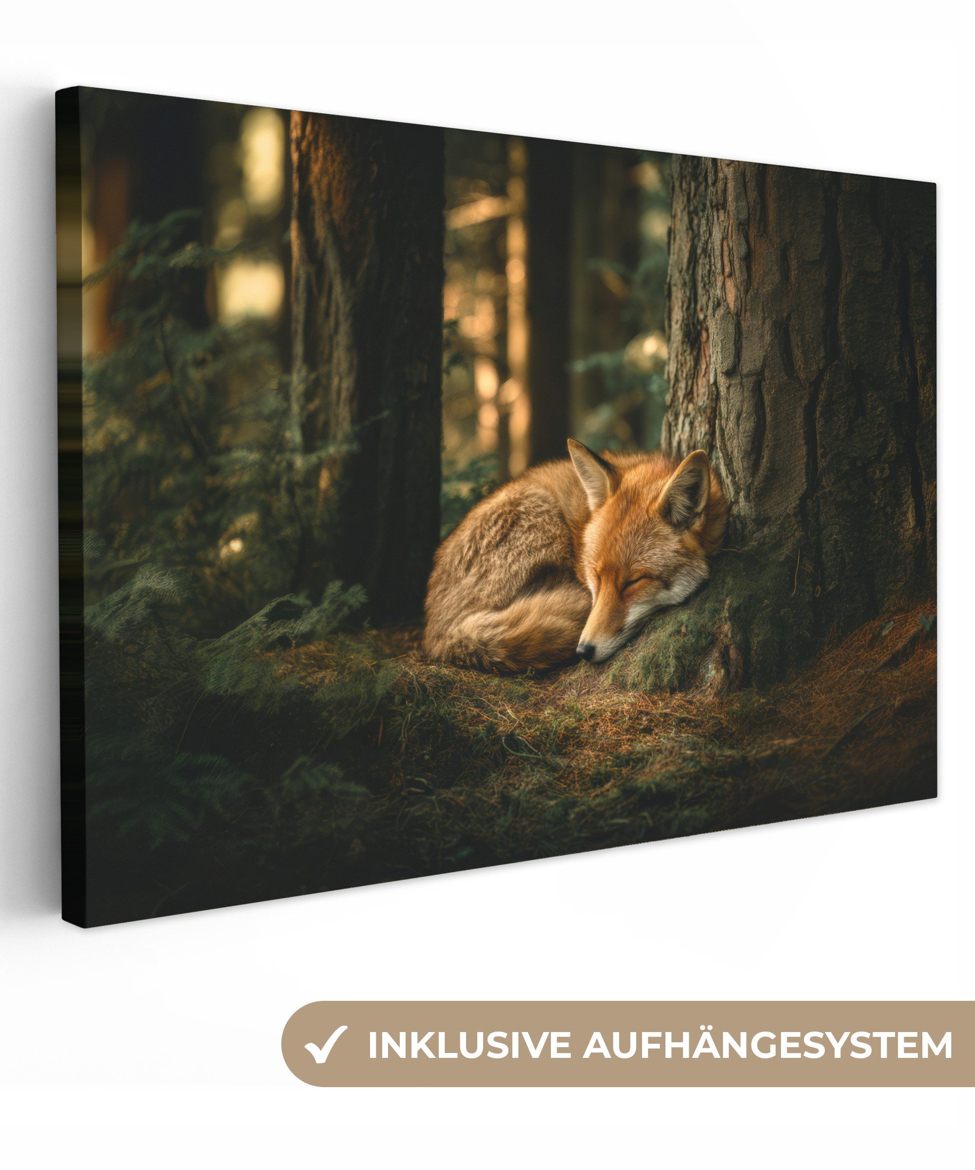 OneMillionCanvasses® Leinwandbild Fuchs - Wald - Schlaf, Fotodruck (1 St), günstig online kaufen