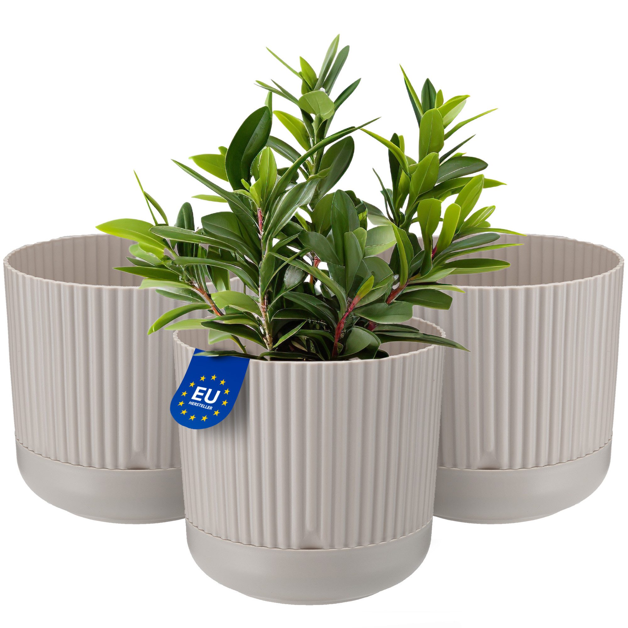 KONZEPT Blumentopf mit Untersetzer, 16 cm günstig online kaufen