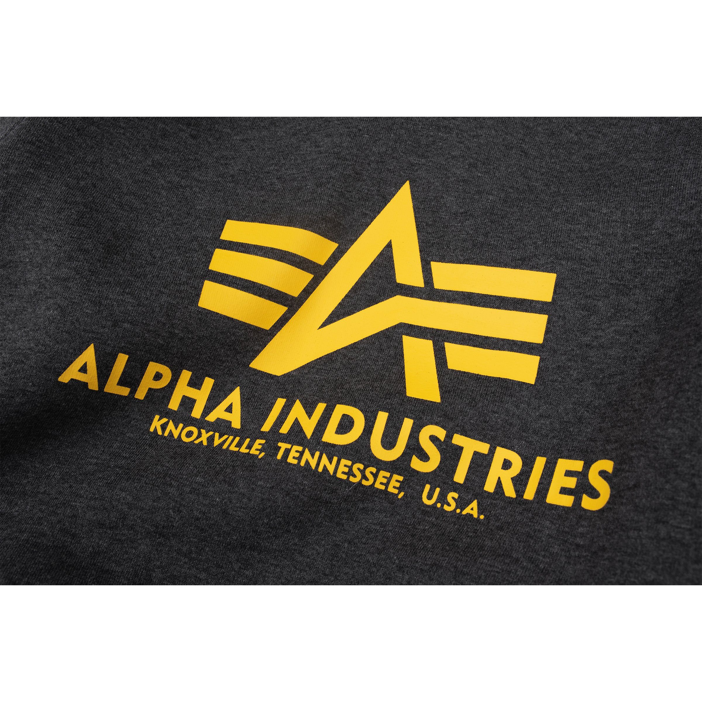 Alpha Industries Hoodie Alpha Industries charcoal Basic Kinder Kapuzenpullover heather