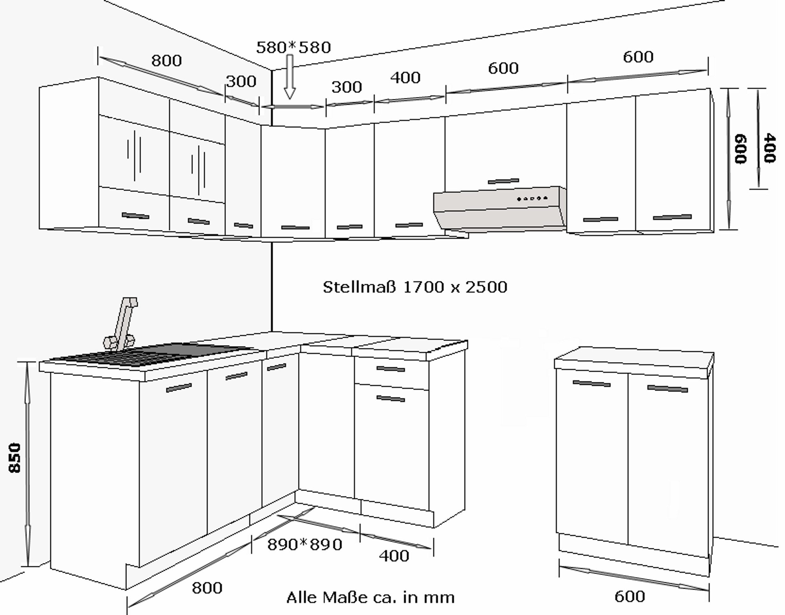 Küchen-Preisbombe Winkelküche Omega 170x250 cm Küche Küchenzeile Küchenbloc günstig online kaufen