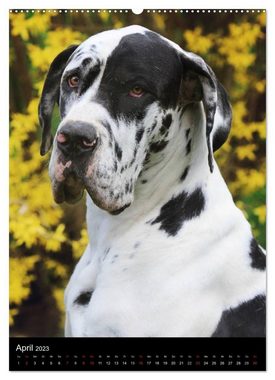 CALVENDO Wandkalender Faszination Deutsche Dogge (Premium, hochwertiger DIN A2 Wandkalender 2023, Kunstdruck in Hochglanz)